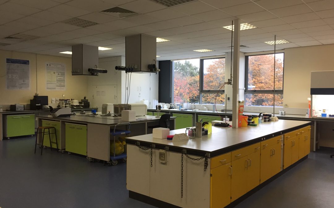 October 2016: Shiny New Lab