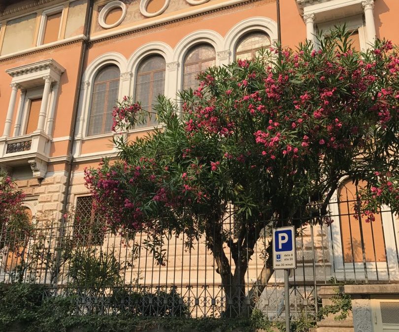 June 2017: Corbella Summer School Keynote Lecture